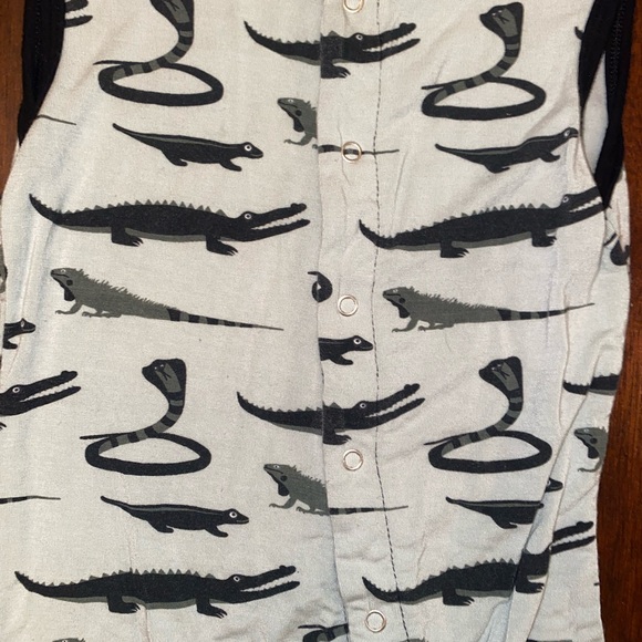 🐍🦎Kickee Bundle🦎🐍 - Picture 3 of 12